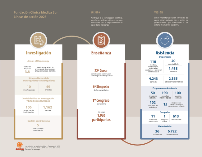 Fundacin Clnica Mdica Sur Lneas de Accin 202o