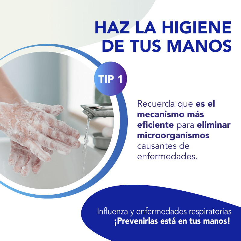 4 tips para revenir la influenza